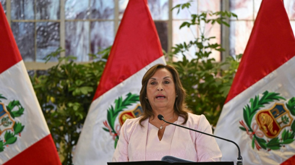 Boluarte promulga en Per&uacute; ley de amnist&iacute;a a militares cuestionada por organismos de DDHH