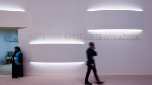 M&aacute;s de 2.000 representantes del sector de combustibles f&oacute;siles en la COP28