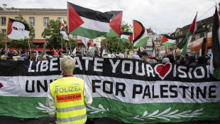 Eurovision, scontri tra polizia e manifestanti pro-Palestina