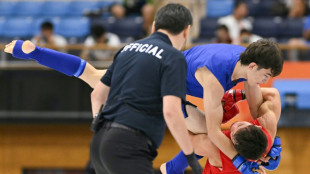 Once decried as 'human cockfighting', MMA wants Olympic spot