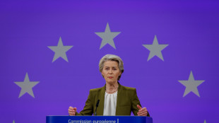 Von der Leyen a Trump, 'Usa e Ue pi&ugrave; che semplici alleati'