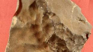 All'asta a NY pi&ugrave; grande meteorite marziano esistente in Terra