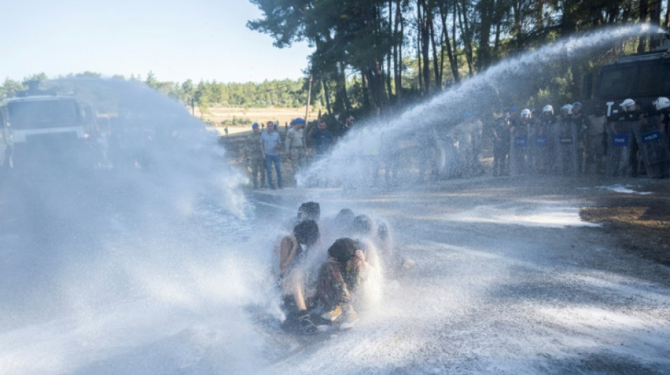 Coal versus forest: Turkish locals mobilised to save trees 