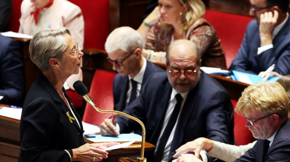 Borne d&eacute;gaine le premier 49.3 de la saison, pour la programmation des finances publiques