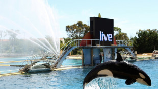 Orques de Marineland: Pannier-Runacher veut un sanctuaire europ&eacute;en