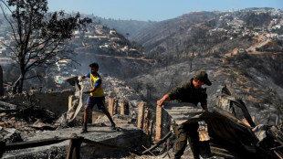 "Est&aacute; todo quemado": el tr&aacute;gico saldo que deja incendio en Chile