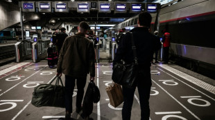 ¿Su gato está debajo del tren? Francia da 20 minutos para recuperarlo