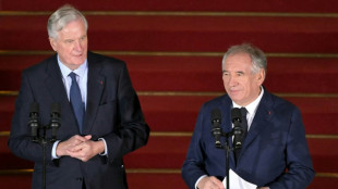 Nomm&eacute; &agrave; Matignon, Bayrou au pied d'un "Himalaya de difficult&eacute;s"