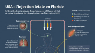 La Floride a effectu&eacute; la 30e ex&eacute;cution de l'ann&eacute;e aux Etats-Unis