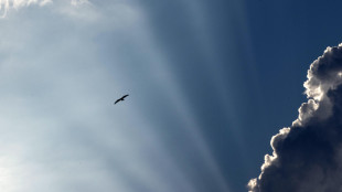 Nella luce chiave per capire gli effetti della CO2 nell'atmosfera