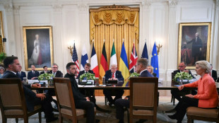 Putin e Zelensky indicam que estão prontos para se reunir, após conversas com Trump