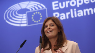 Weber, '&egrave; giusto revocare l'immunit&agrave; a Salis'