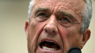 Democrats lambast Biden primary challenger Kennedy Jr