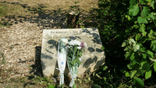 Macron vows to punish antisemitic 'hatred' after memorial tree cut down