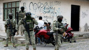 Localizan 34 cad&aacute;veres en una fosa clandestina en el oeste de M&eacute;xico