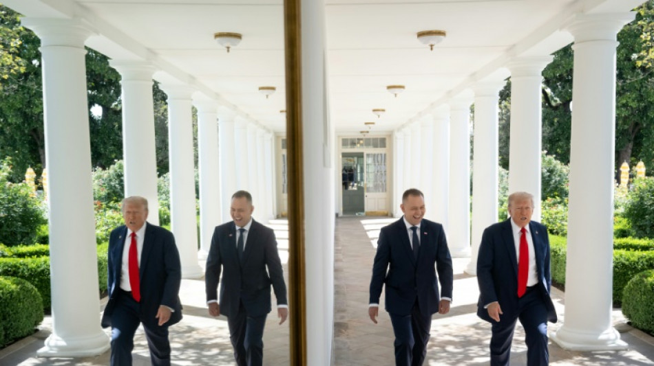 Trump offers more US troops to Poland's nationalist president