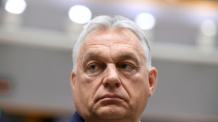 Orban: Pride-Parade in Budapest war eine "Schande"