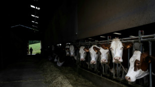 Dermatose: un troupeau abattu dans le Doubs malgré une mobilisation