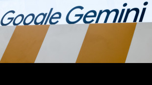 Media, 'Gemini viola tre aziende, &egrave; la prima volta per l'Ia di Google'