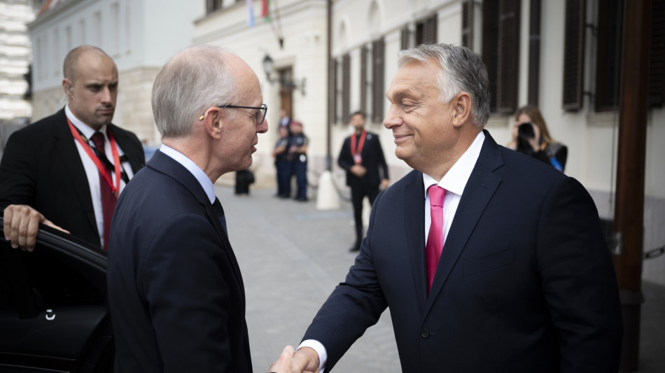 Orban, 'Salvini &egrave; il patriota pi&ugrave; coraggioso d'Europa'