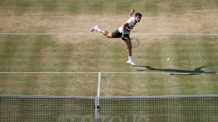 Queen's: fin de parcours pour Rinderknech, Alcaraz en demies 