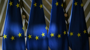 UE revela plano de orçamento e inicia período complexo de negociações