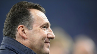 Wilmots &uuml;bernimmt auf Schalke als Sportdirektor 