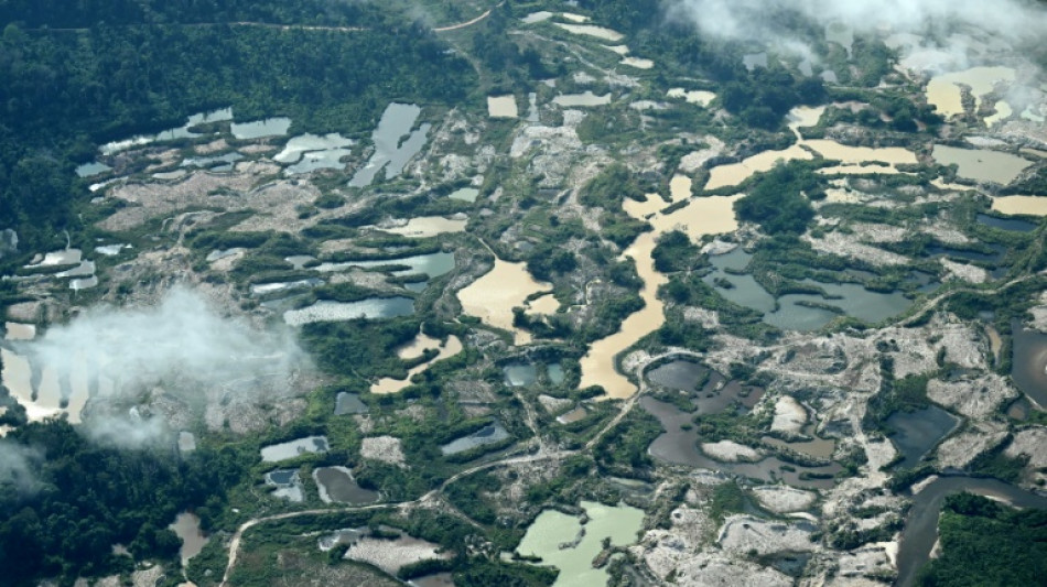 Brazil deforestation hits new low in Amazon