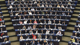 Eurodiputados buscan acelerar el uso de combustibles sostenibles en el sector a&eacute;reo