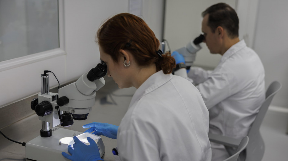 Dall'uovo artificiale al chip pi&ugrave; piccolo, le 300 invenzioni del 2026