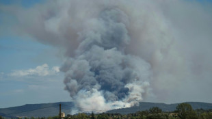 Pobladores evacuados en el sur de Francia por incendio que arrasa 1.500 hect&aacute;reas de bosque