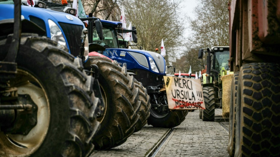 Cenário que favorece aprovação do acordo UE-Mercosul deixa França sob pressão