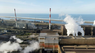 ArcelorMittal retarde son projet d'acier d&eacute;carbon&eacute; &agrave; Dunkerque 