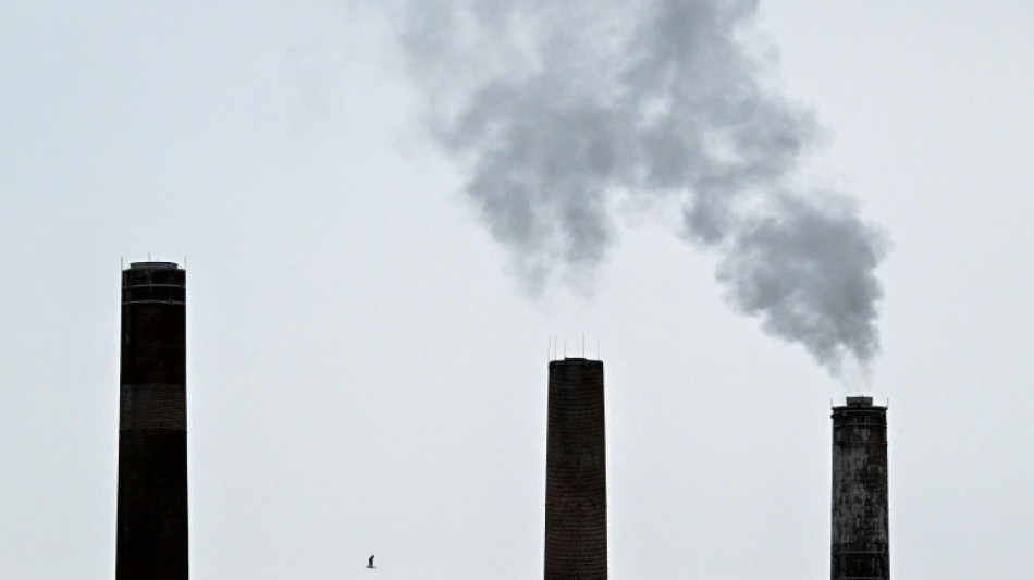 EU reforms carbon market under pressure from industry