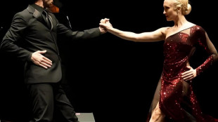 Torna la rassegna Sensi d'Estate al Museo Omero di Ancona