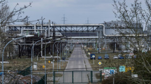 Regierung verl&auml;ngert Treuhandverwaltung von Rosneft-T&ouml;chtern bis M&auml;rz 2024
