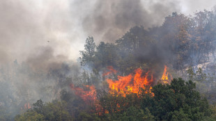 Serbia, negli ultimi 10 giorni spenti oltre 1.400 incendi