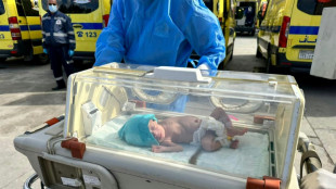 Gaza: &eacute;vacuation r&eacute;ussie de 28 b&eacute;b&eacute;s pr&eacute;matur&eacute;s vers l'Egypte  