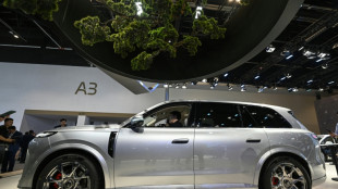 Stellantis signs Europe joint venture with China's Dongfeng