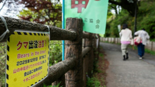 Schulschlie&szlig;ungen in japanischer Stadt wegen streunenden B&auml;ren