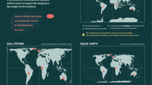 "Corrige la carte": initiative pour rendre à l'Afrique sa vraie taille sur la mappemonde