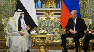 Putin, 'Emirati tra luoghi adatti per vertice con Trump'