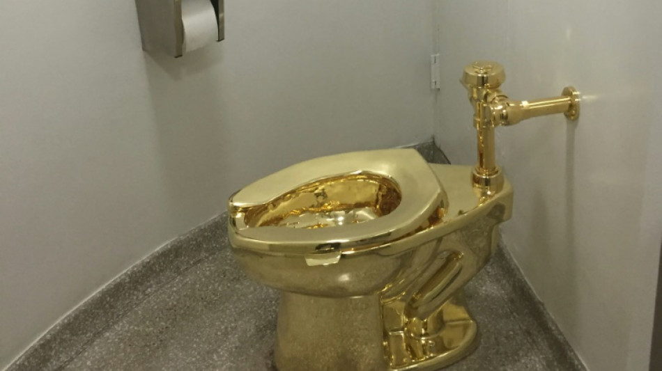 &pound;2.8m gold toilet stolen from UK show never found: court