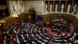 Le trait&eacute; Ceta rejet&eacute; par les s&eacute;nateurs dans un h&eacute;micycle enflamm&eacute;