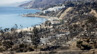 Detienen a hombre por letal incendio en Los &Aacute;ngeles en enero
