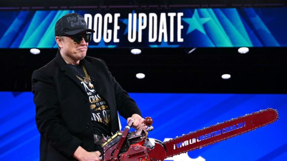 Os principais momentos de Musk na Casa Branca