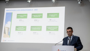El gigante el&eacute;ctrico franc&eacute;s EDF registra fuertes p&eacute;rdidas en 2022