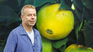 Band Bronski Beat half Star-Fotograf Wolfgang Tillmans beim Outing