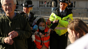 Ecologistas atacan a martillazos un cuadro de Vel&aacute;zquez en Londres