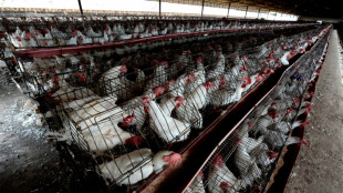 La OMS afirma que el primer caso confirmado de gripe H5N2 en humanos muri&oacute; por causas multifactoriales